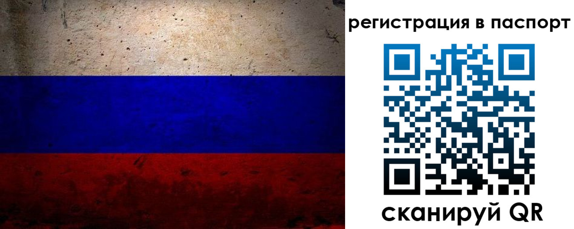 купить прописку в Ярославской области
