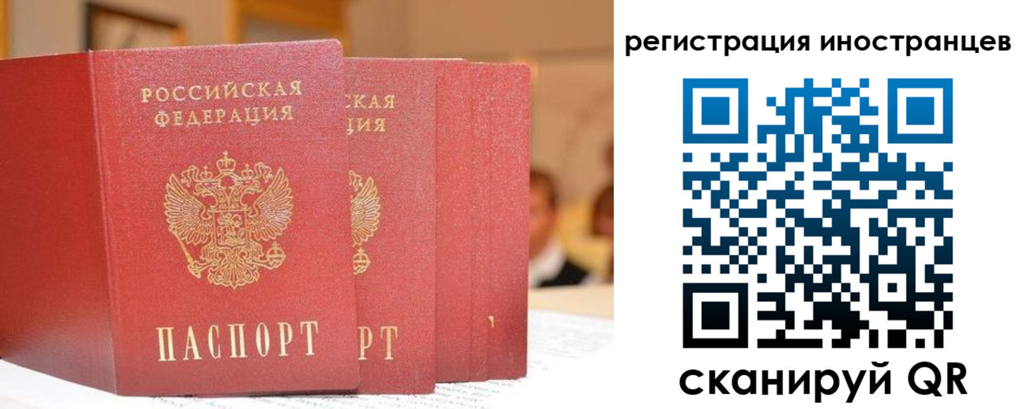 где прописаться в Ярославской области